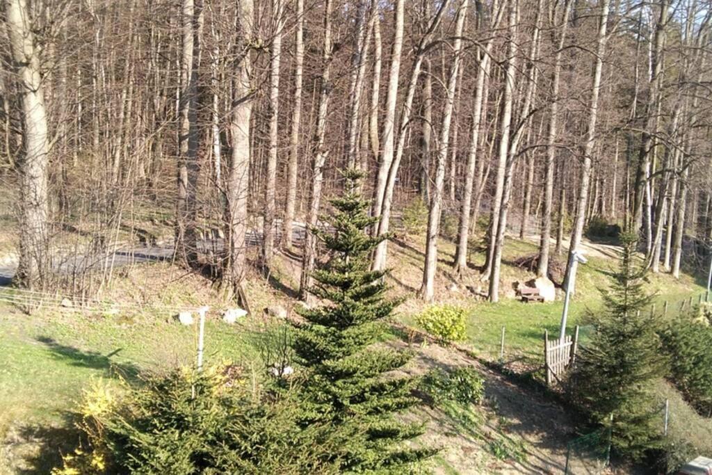 Nowoczesne Mieszkanie Blisko Natury I Sklepu Biedronka Карпач Экстерьер фото